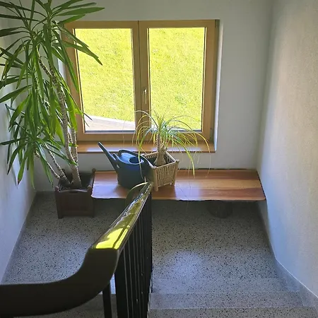 Haus Wiesenruh - Mountain View